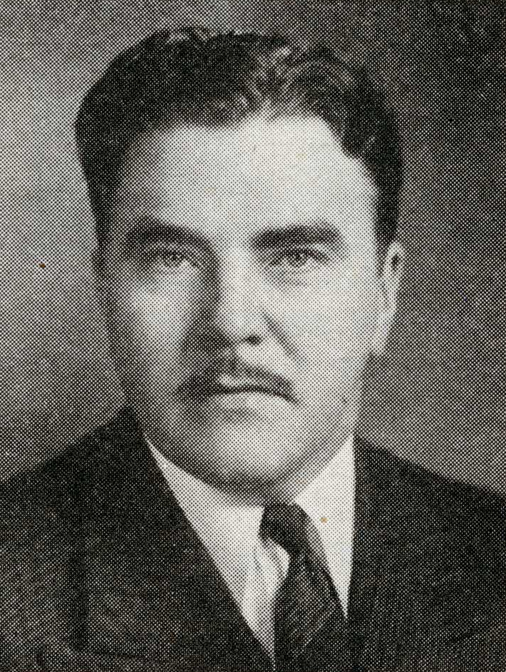 Photo of Henry W. Mattson