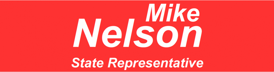 Logo for Michael Nelson's 2022 HD 38A campaign