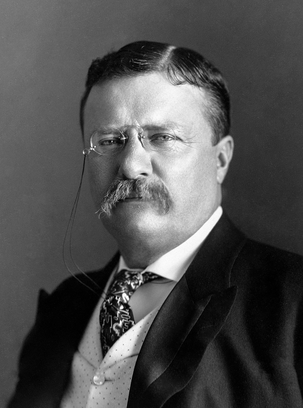 Photo of Theodore Roosevelt