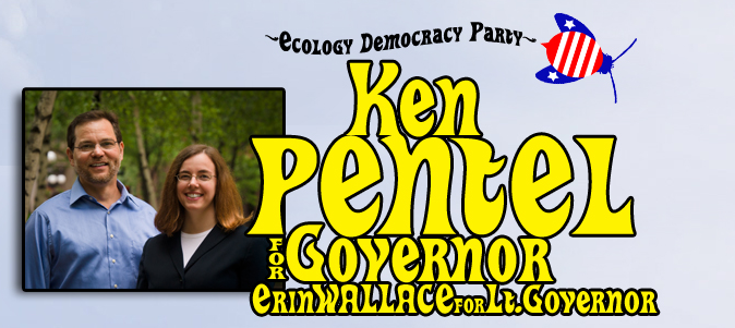 Logo for Erin Wallace's 2010 Lieutenant Gubernatorial campaign